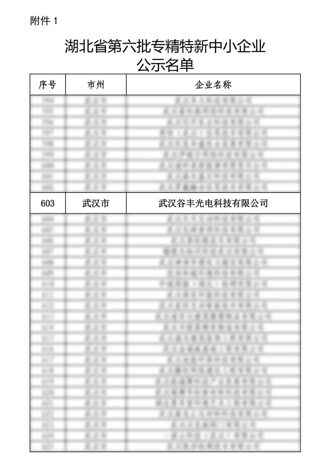 谷豐光電榮獲湖北省第六批專精特新中小企業(yè)認(rèn)定！